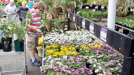 HortWeek review 2025: Top 100 products sold in garden centres - EPOS data 2025